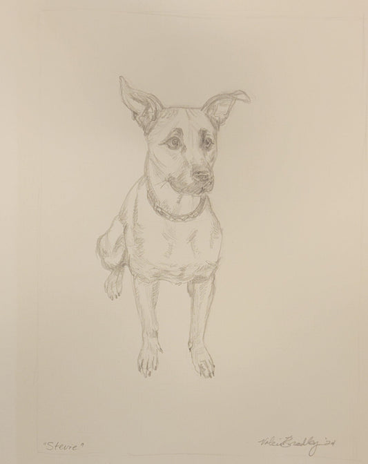 Quick Sketch