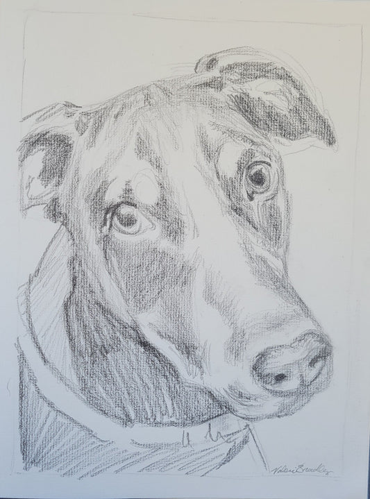 Quick Sketch