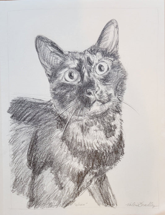 Quick Sketch